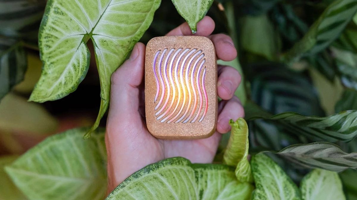 12 Best Gifts for Plant Lovers: Tech Edition